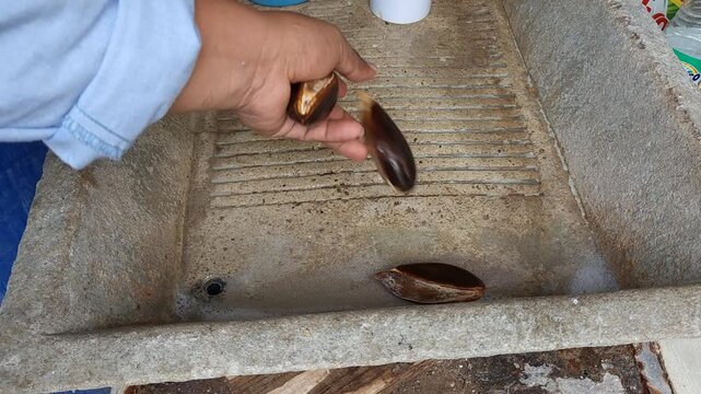 Throwing Mamey Sapote Seeds into a Traditional Concrete Sink