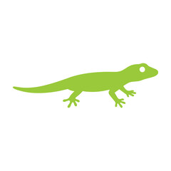 Fototapeta premium Lizard Silhouette Green Reptile Animal