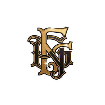 Elegant monogram FNG in gold and black.