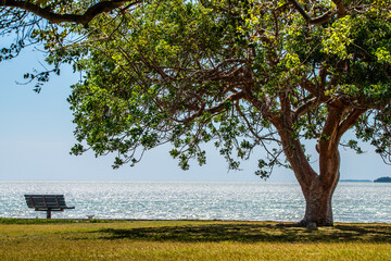The Everglades NP  © SE Viera Photo