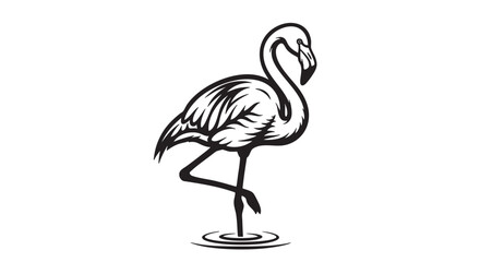 Obraz premium Flamingo vector, black and white illustration, bird icon, wildlife graphic