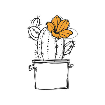 Hand Drawn Doodle Blooming Cactus with Yellow Orange Flower in Metal Pot Sketch Vector