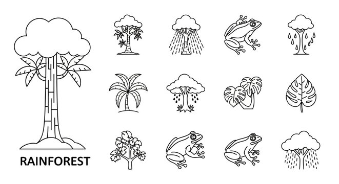 Rainforest and Jungle Ecosystem Outline Icons Set - Nature, Tropical Trees, Frogs, and Exotic Plants Vector Collection