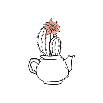 Hand Drawn Doodle Blooming Cactus with Pink Flower in White Teapot Sketch Vector