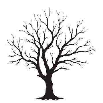 Bare tree silhouette vector illustration, a leafless plant icon for seasonal or environmental design