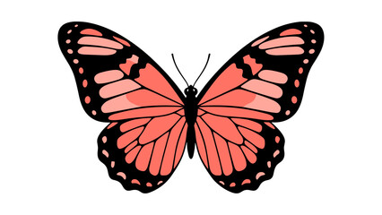 Fototapeta premium vibrant monarch butterfly isolated on white background