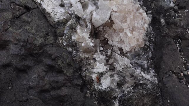 Red ant crawling on quartz crystals with slow camera movement