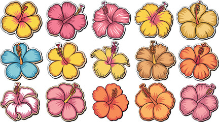 Collection of colorful hibiscus flowers in various shades and styles  illustrations © vector