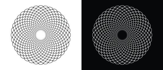 Geometric mandala pattern with fish scale texture in circular shape. Black and white lotus flower petals abstract vector illustration for meditation and yoga design. © Mykola Mazuryk