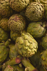 Fototapeta premium Fresh green artichokes showing healthy organic produce