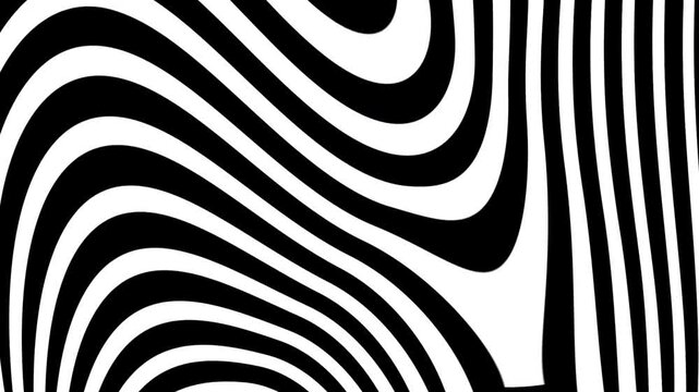 Zebra animation a captivating abstract pattern of black and white stripes comes alive.