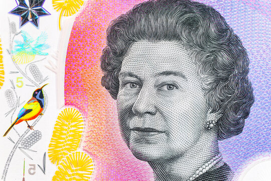 5 Dollars Australia with a portrait of Queen Elizabeth II and Banksia flowers. Polymer money. Money of Australia.
