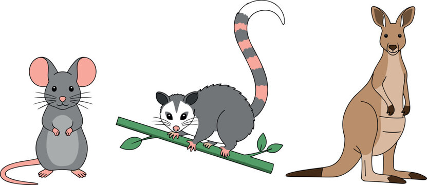 Cute Cartoon Mouse, Possum Climbing on Branch, and Kangaroo Standing Isolated on White Background for Wildlife, Australian Animal, and Nature Designs