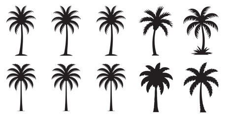 Fototapeta premium Set of palm tree silhouettes, tropical vector elements for summer beach design and vacation. vector illustration eps 10