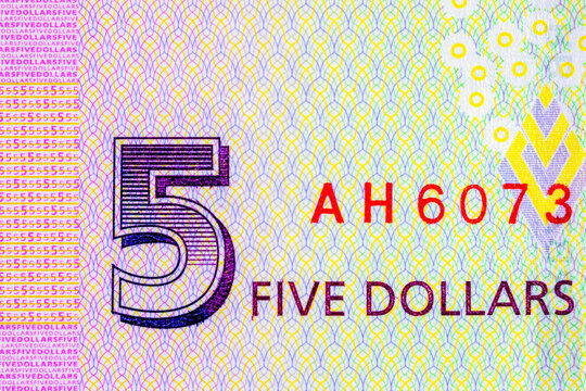 5 Dollars Zimbabwe Banknote with a fragment of the denomination for design. Zimbabwean money. African currency.