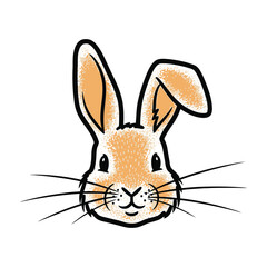 Fototapeta premium Cute Orange Bunny Rabbit Face Portrait Closeup