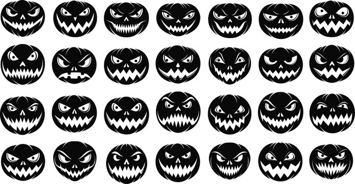 The Pumpkin Patch Collection