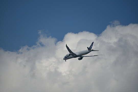 LOT Polish Airlines Boeing 787 Dreamliner Approaching Landing in Blue Sky
