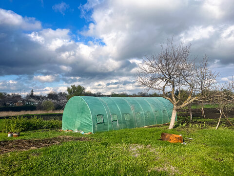 Greenhouse for growing vegetables in the old village farm