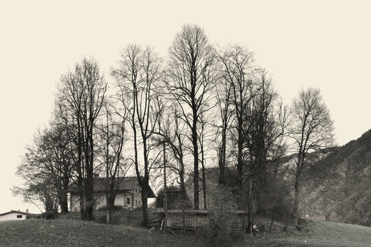 Old rural farmhouse among the trees on the hill. Bergamasque Prealps, Lombardy, Italy