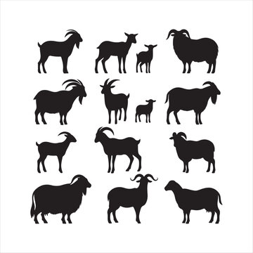 qurbani animals vector silhouette  outline logo design concept illustration idea