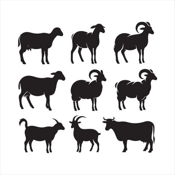 qurbani animals vector silhouette  outline logo design concept illustration idea