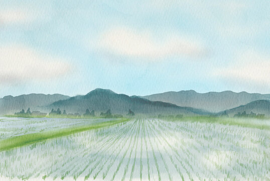 山々を背景にした広大な緑の田んぼ・田植えの水彩イラスト300dpi