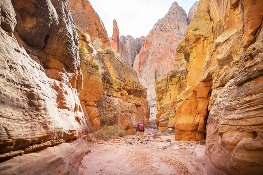 Hike in Capitol Reef