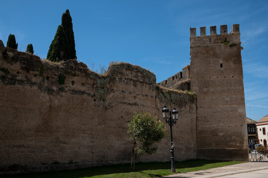 Muralla de palma del r&iacute;o