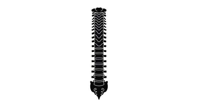 Black silhouette of a human spinal column against a white background