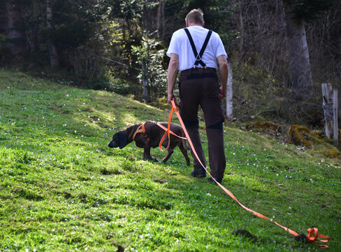 Schweisshund BGS