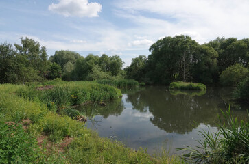 Obraz premium The Likova River near the village of Lapshinka in Moscow