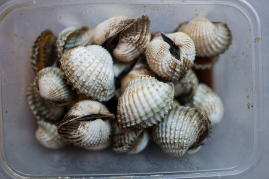 Top view of boiled cockles in box