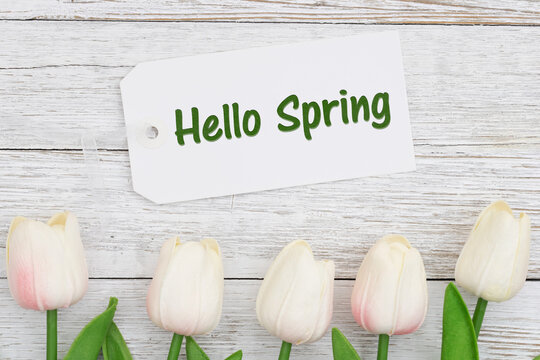 Hello Spring gift tag with white tulips