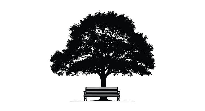 Silhouette of a large tree with a park bench underneath