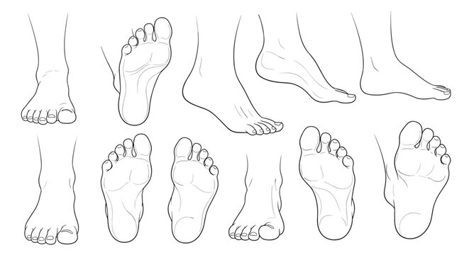 Technical line drawings of the human foot shown from multiple perspectives including the sole, heel, and side for anatomical study or art.