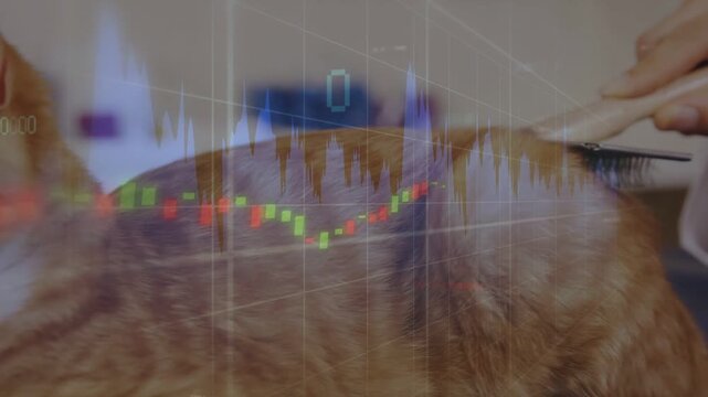 Woman starting combing ginger cat for fur care, comb moving back as finance charts overlaying frame