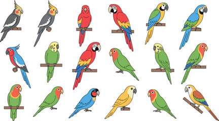 Parrot vector collection with colorful macaws cockatoos and budgerigars perched tropical birds wildlife illustration set © EdGe Creative