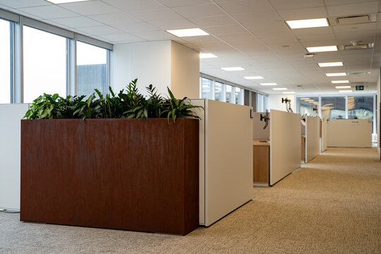 Modern office interior with cubicles and indoor plants near windows.