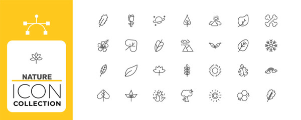 nature icon set with poplar leaf, cordate, shining sun with rays signs in flat outline style © Abstract