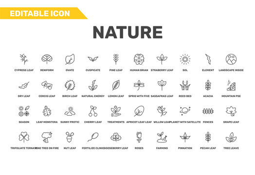 nature icon set with human brian, dry leaf, trifoliate ternate signs in flat outline style
