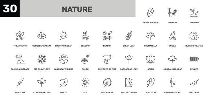 nature icon set with farming, hawthorn leaf, birch leaf signs in flat outline style