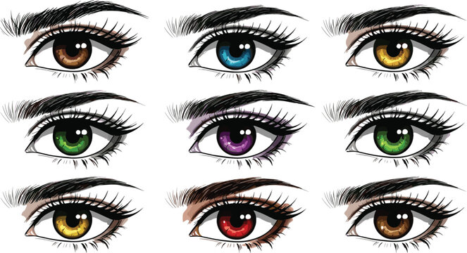 Human Eye Color Vector Illustration Featuring Brown, Blue, Hazel, Yellow, Purple, Green, Amber, Red, and Gray Designs