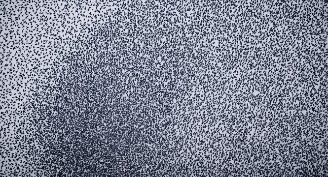 Vast murmuration of starlings forming complex patterns during cold season