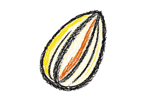 Childlike crayon pencil sunflower seed drawing in simple kids sketch style - concept food seed