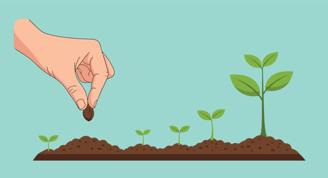 Sequence of plant growth from a single seed being planted by a hand to a flourishing young green plant against a light teal background color.
