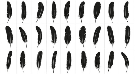 Collection of thirty diverse black feather silhouettes isolated on a clean white background showcasing intricate details and varied shapes for design elements and concepts © Dipan
