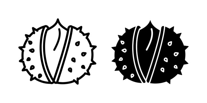 Horse Chestnut Spiky Shell Outline and Glyph Icon Set