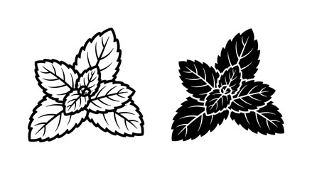 Fresh Mint Leaf Vector Icons in Outline and Silhouette Style © Mitu