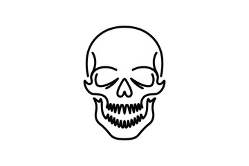 Fototapeta premium Anatomical skull line drawing with simplified teeth and jaw structure.